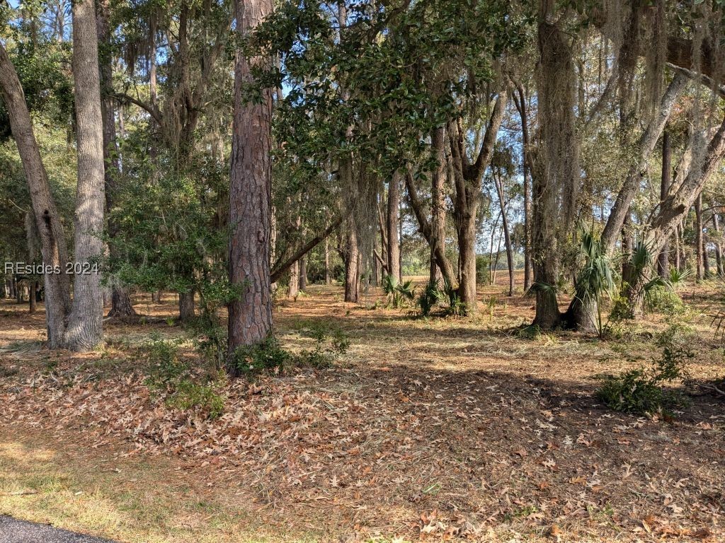 41 River Road, Daufuskie Island, South Carolina image 3