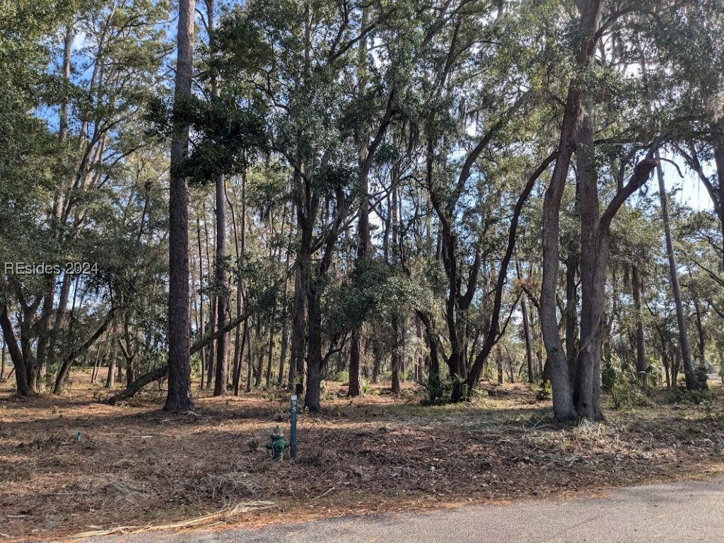 41 River Road, Daufuskie Island, South Carolina image 2