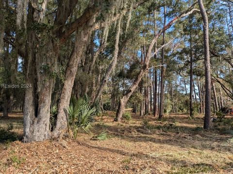 Vacant Land For Sale - 41 River Road<br/> Daufuskie Island, SC 29915