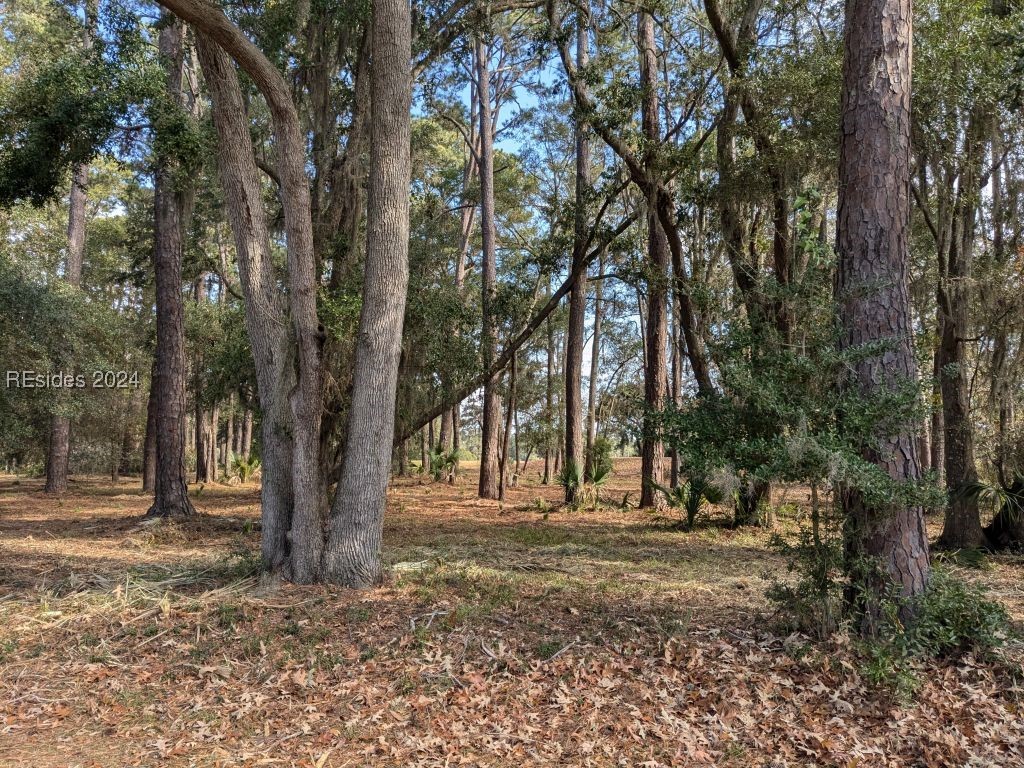 41 River Road, Daufuskie Island, South Carolina image 4