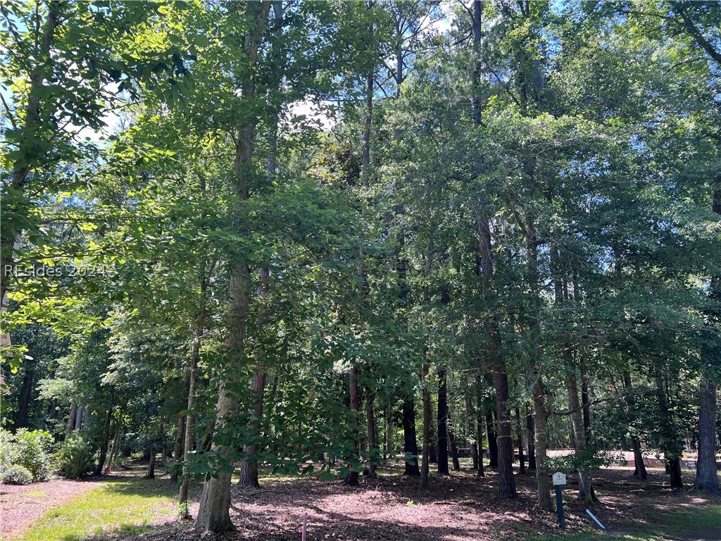 9 Oldfield Village Road, Bluffton, South Carolina image 5
