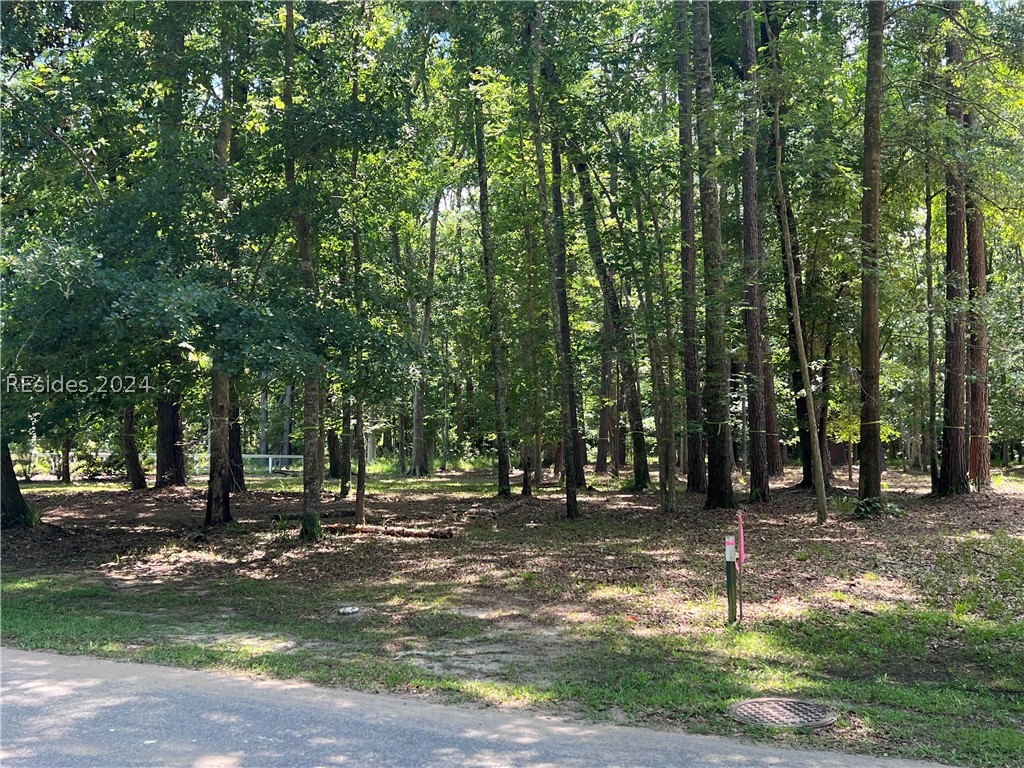 9 Oldfield Village Road, Bluffton, South Carolina image 2