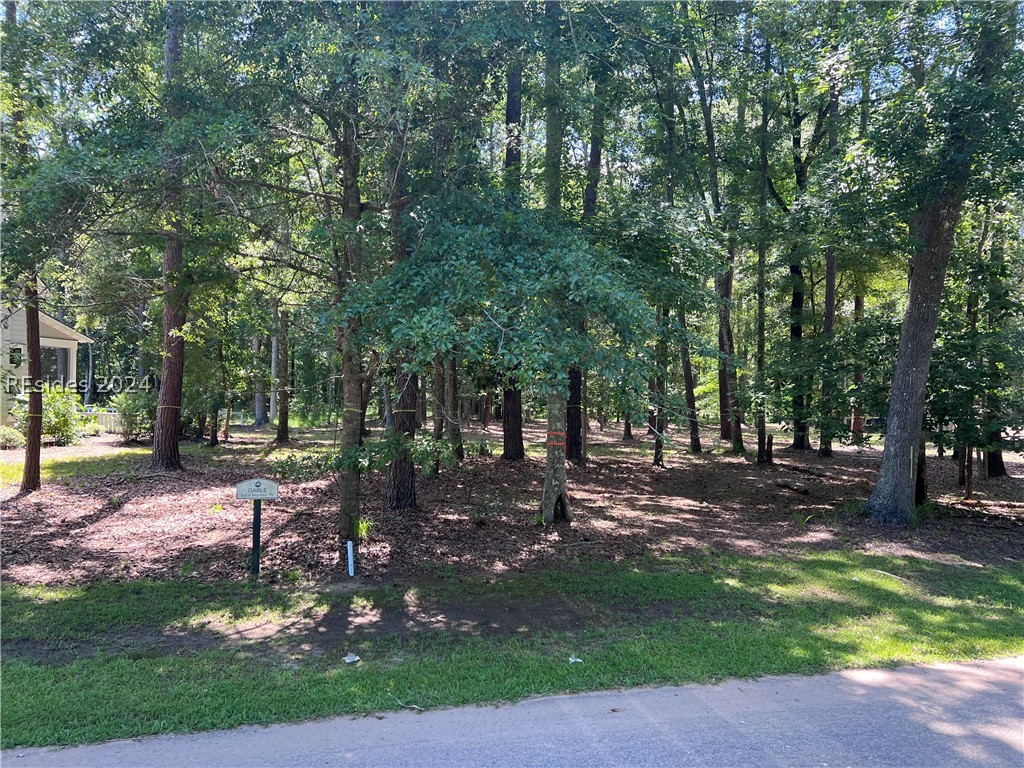 9 Oldfield Village Road, Bluffton, South Carolina image 1
