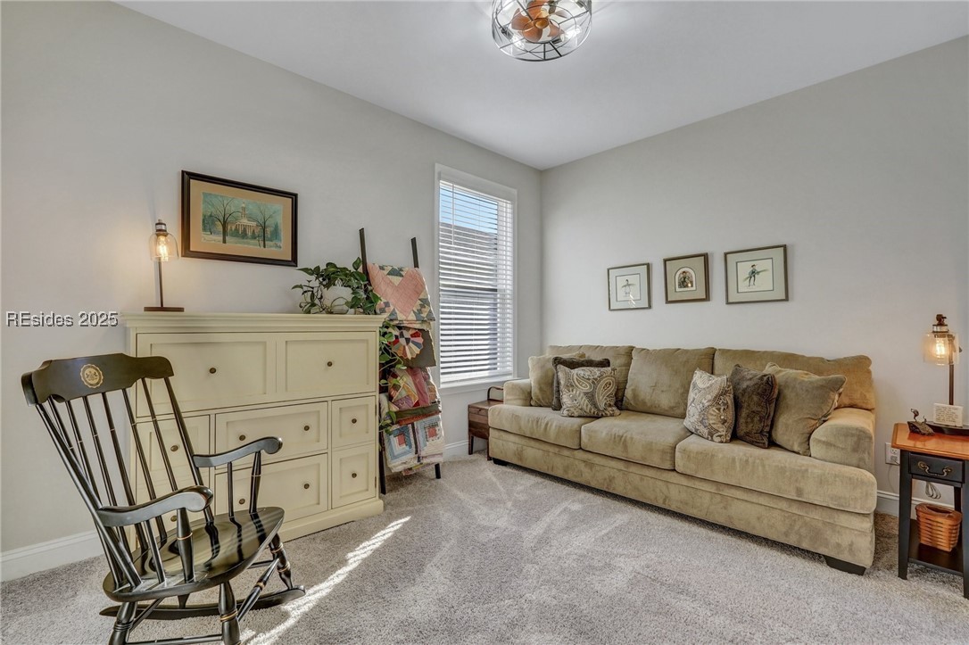 155 Daisy Lane, Okatie, South Carolina image 32