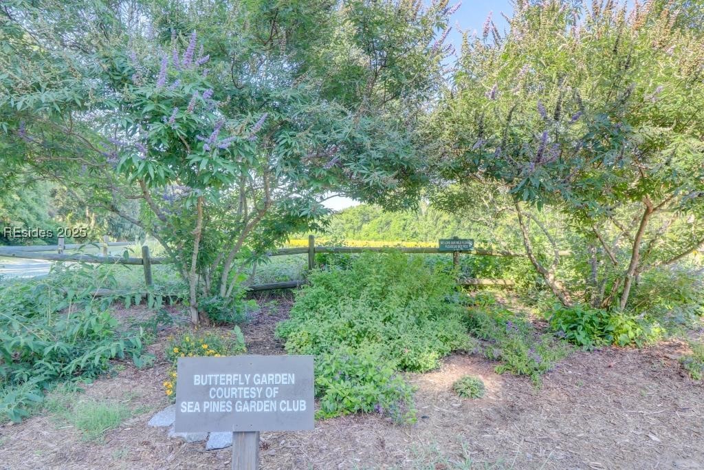 6 Braddock Bluff Drive #1661, Hilton Head Island, Texas image 43