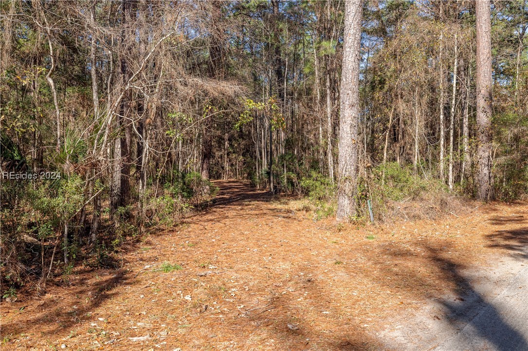 132 Spring Island Drive, Okatie, South Carolina image 2