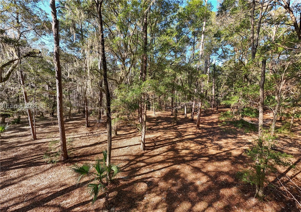 132 Spring Island Drive, Okatie, South Carolina image 5
