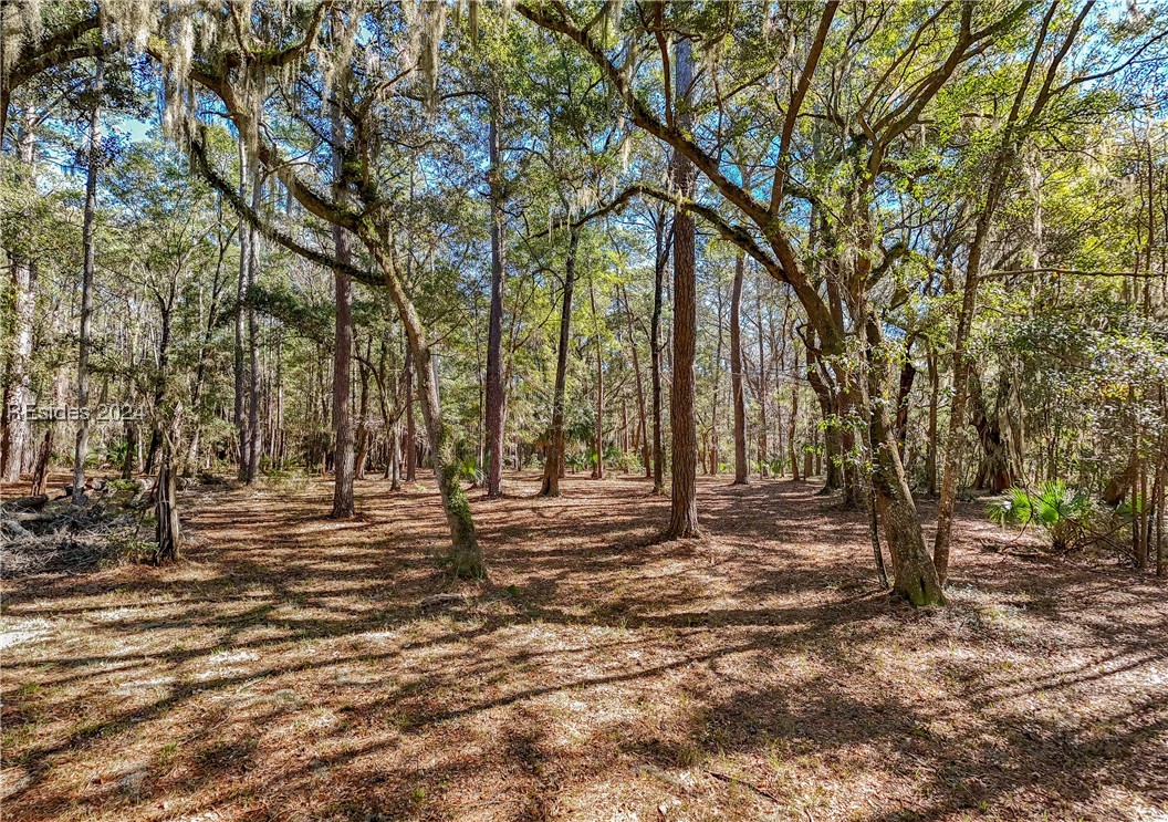 132 Spring Island Drive, Okatie, South Carolina image 6