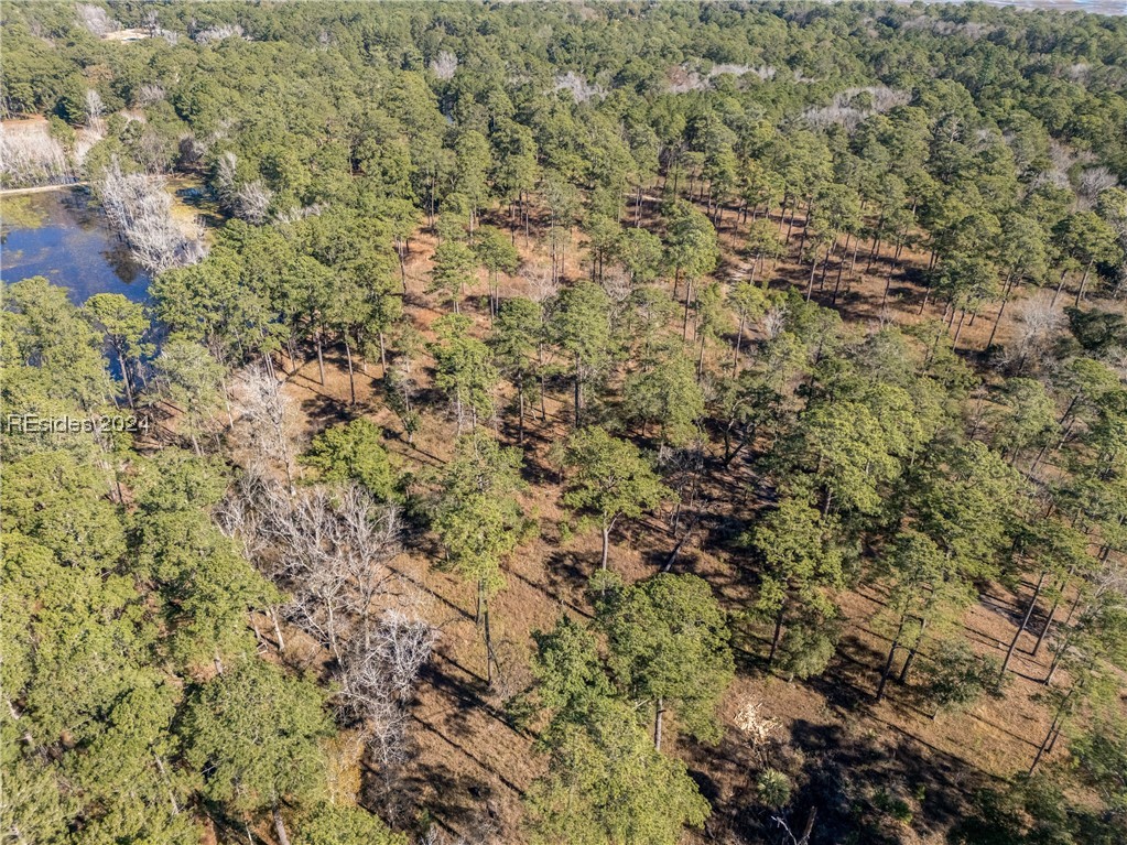 132 Spring Island Drive, Okatie, South Carolina image 4
