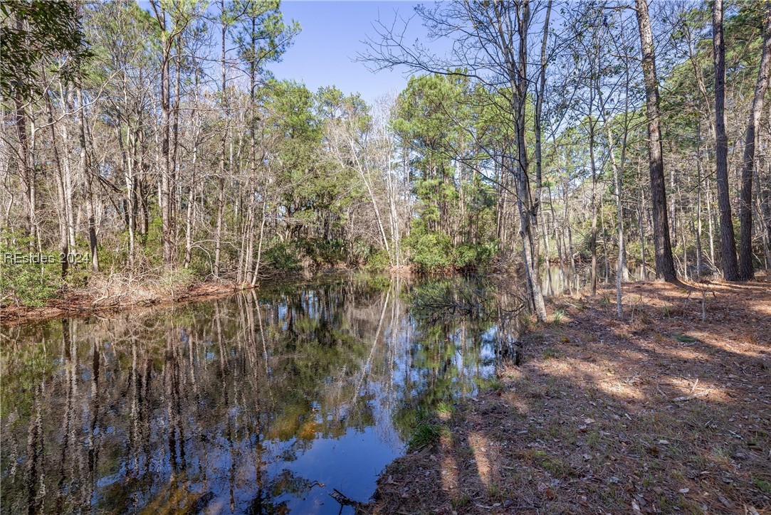 132 Spring Island Drive, Okatie, South Carolina image 3