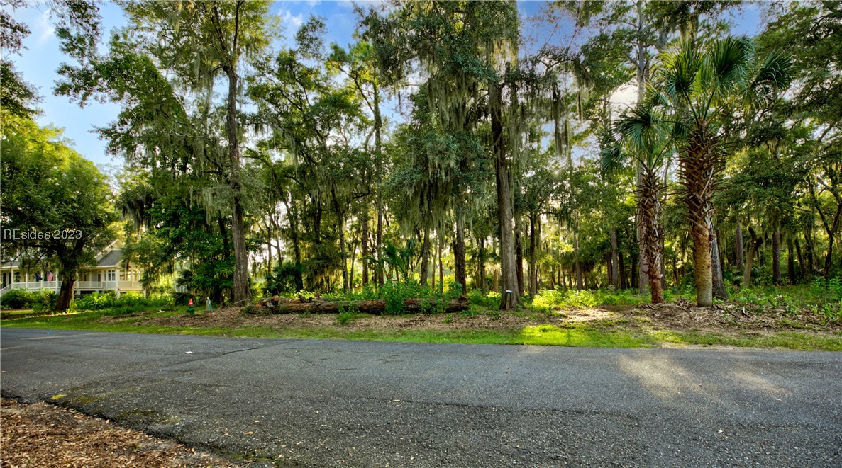 45 Freeport Drive, Daufuskie Island, South Carolina image 6