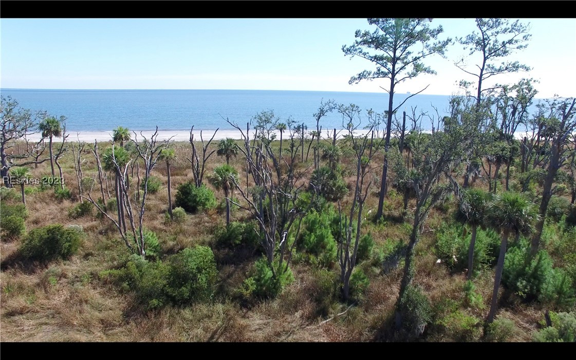 19 Beauregard Boulevard, Daufuskie Island, South Carolina image 5