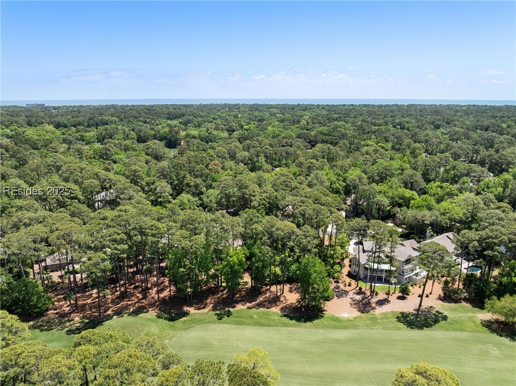 6 Good Hope Court, Hilton Head Island, Texas image 7