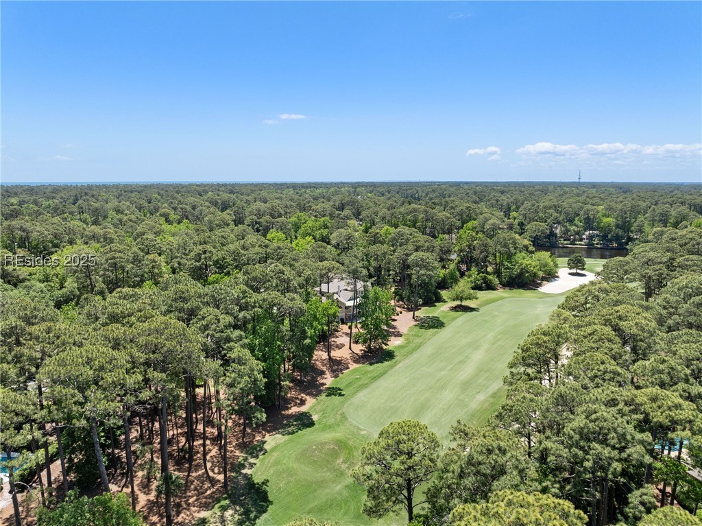 6 Good Hope Court, Hilton Head Island, Texas image 11