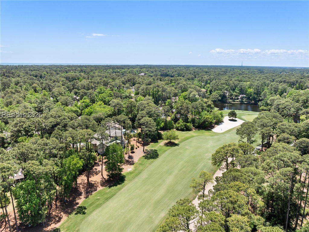 6 Good Hope Court, Hilton Head Island, Texas image 8