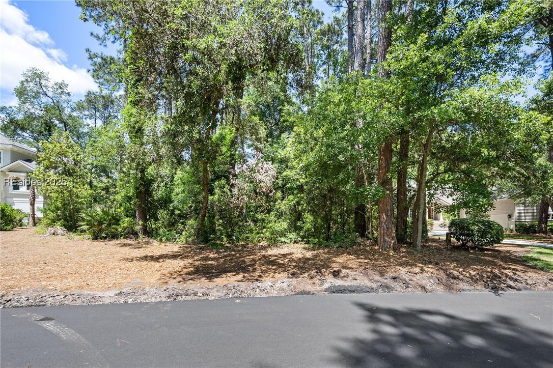 6 Good Hope Court, Hilton Head Island, Texas image 13