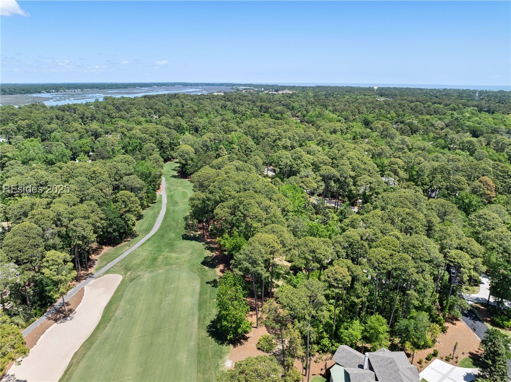 6 Good Hope Court, Hilton Head Island, Texas image 6