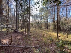 64 Harbor View Drive, Prosperity, South Carolina image 10