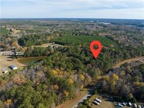 64 Harbor View Drive, Prosperity, South Carolina image 9