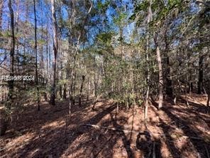 64 Harbor View Drive, Prosperity, South Carolina image 2