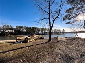 64 Harbor View Drive, Prosperity, South Carolina image 3
