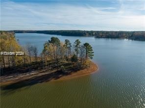 64 Harbor View Drive, Prosperity, South Carolina image 5