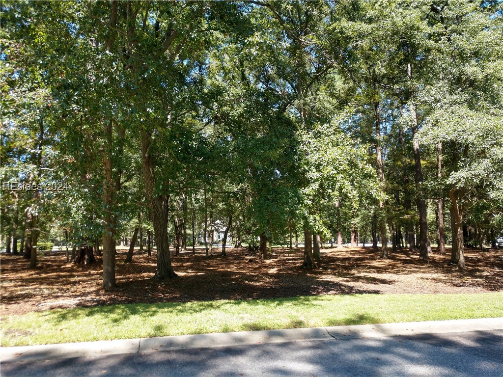 4 Millbrook Circle, Okatie, South Carolina image 8