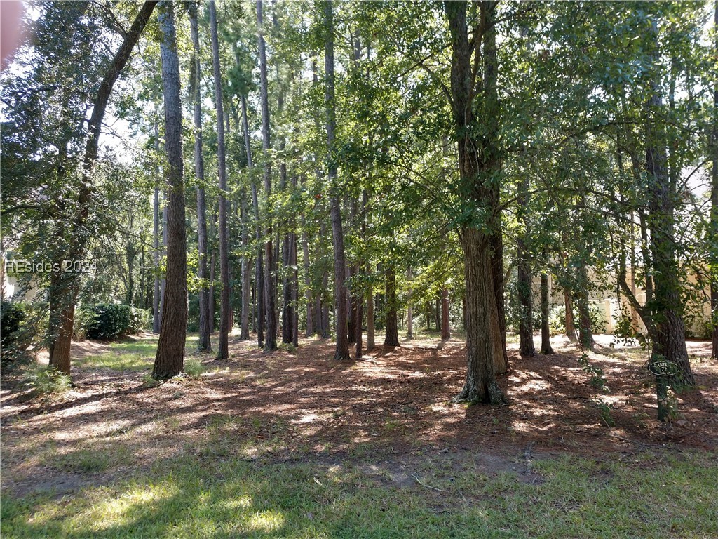 4 Millbrook Circle, Okatie, South Carolina image 3