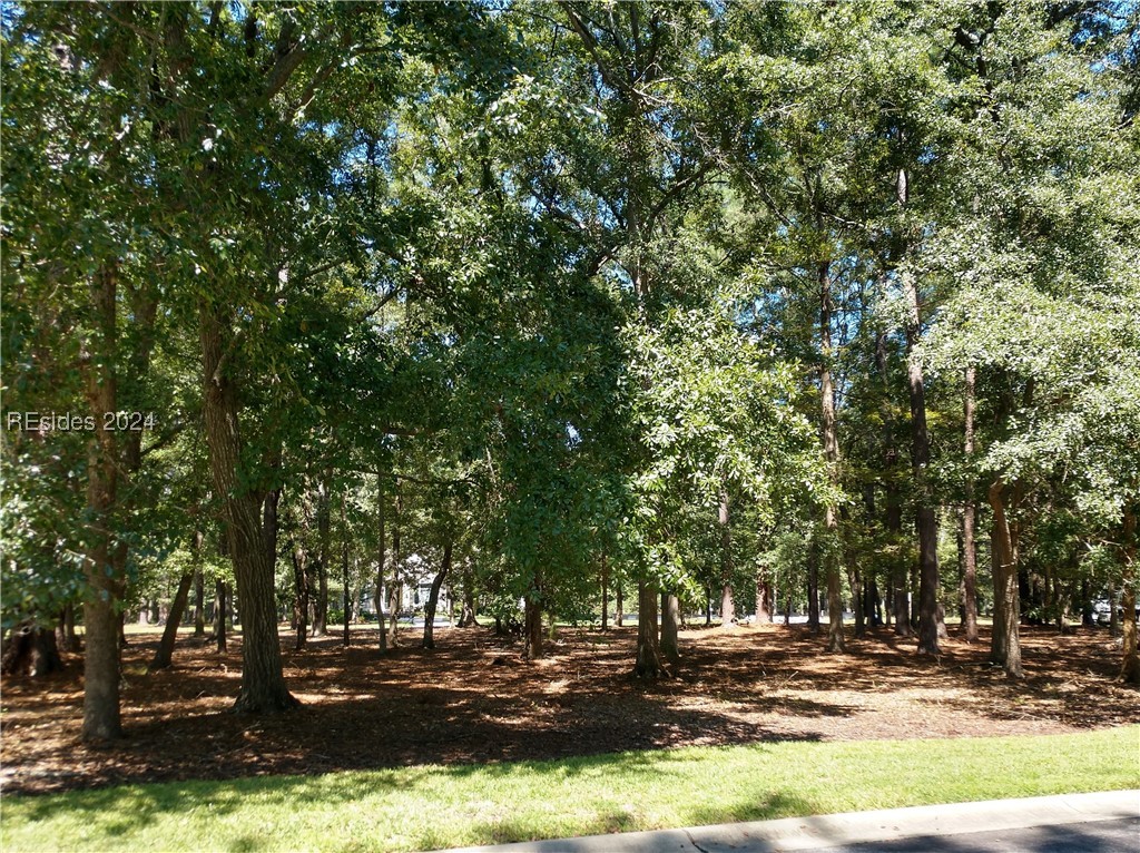 4 Millbrook Circle, Okatie, South Carolina image 7