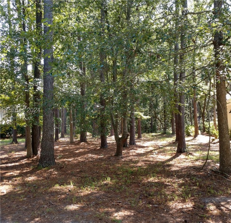 4 Millbrook Circle, Okatie, South Carolina image 4