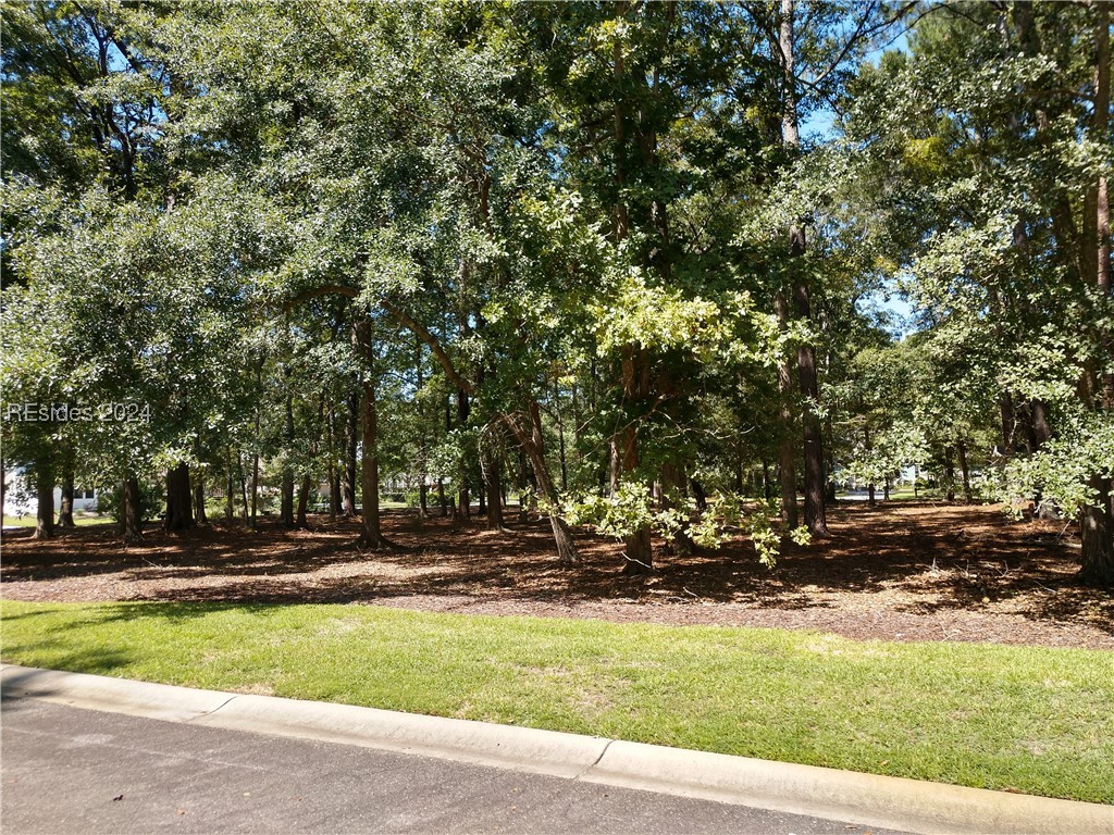 4 Millbrook Circle, Okatie, South Carolina image 5