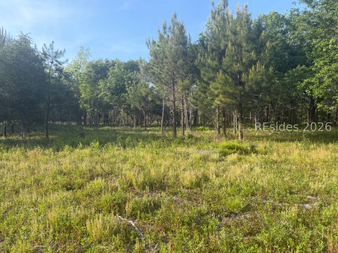 Vacant Land For Sale - 177 Spann Circle<br/> Seabrook, SC 29940