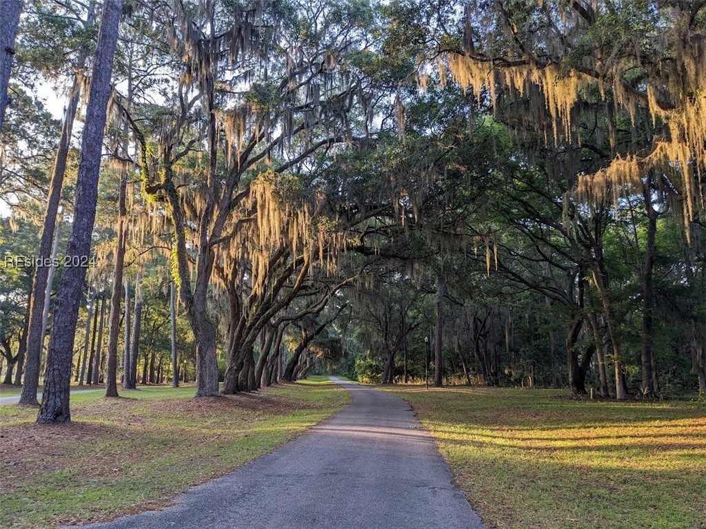 284 Oakridge Lane, Daufuskie Island, South Carolina image 10