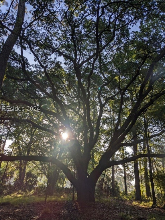 284 Oakridge Lane, Daufuskie Island, South Carolina image 25