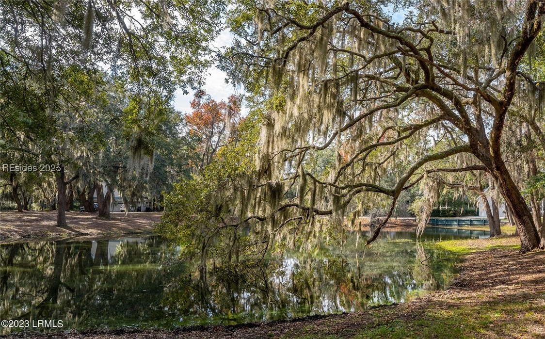 6 Tiller Island Drive, Beaufort, South Carolina image 7