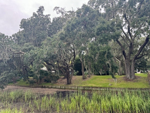 220 Distant Island Drive, Beaufort, South Carolina image 10