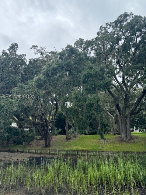 220 Distant Island Drive, Beaufort, South Carolina image 9