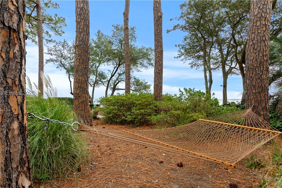 239 Beach City Road #1306, Hilton Head Island, Texas image 41