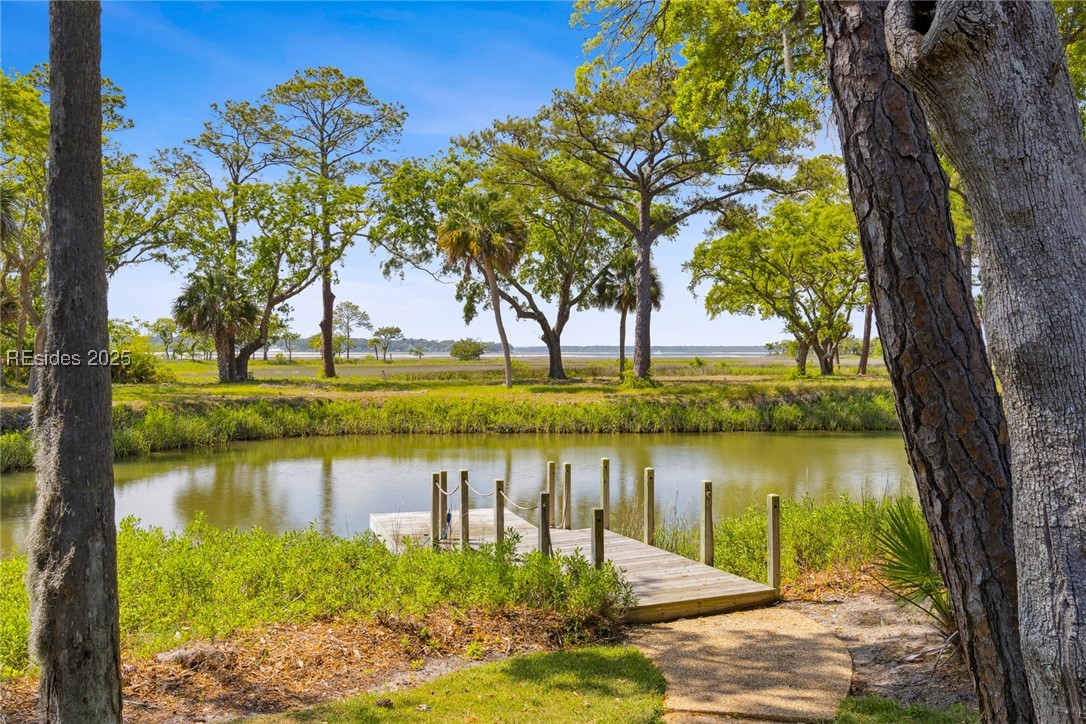 63 Baynard Park Rd Rd, Hilton Head Island, South Carolina image 50