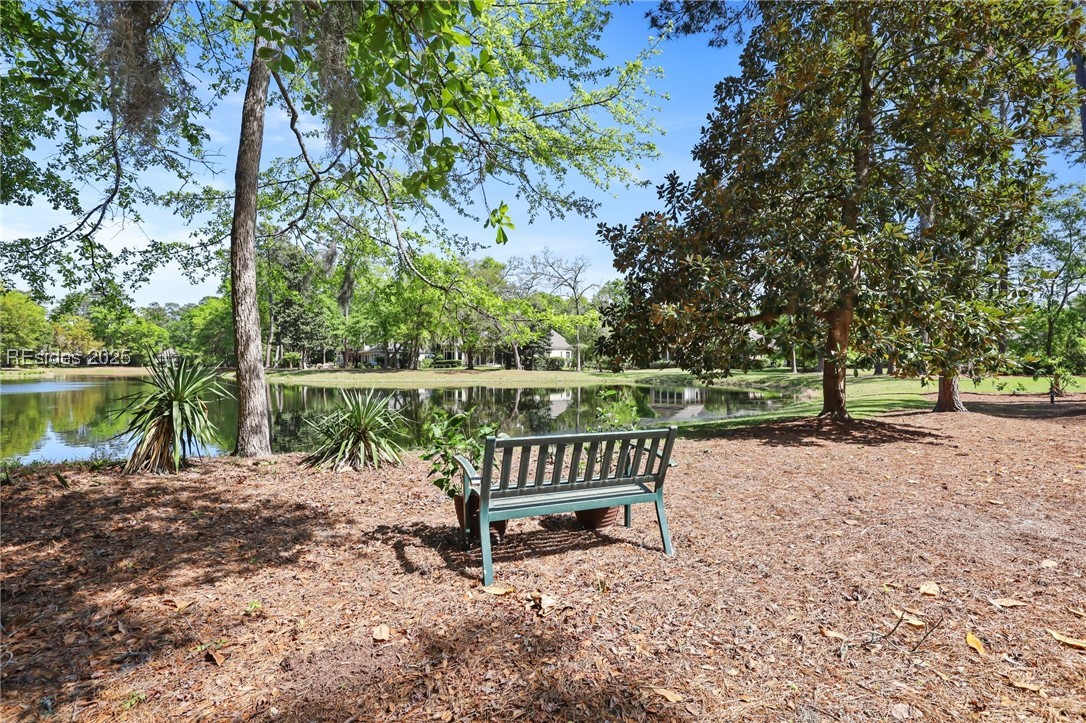 13 Pond Drive, Hilton Head Island, Texas image 41