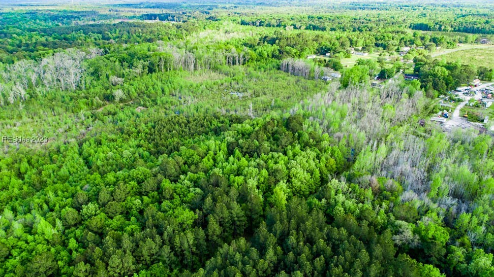 TBD Dunham Williams Road, Hardeeville, South Carolina image 9