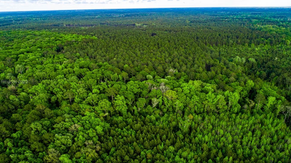 TBD Dunham Williams Road, Hardeeville, South Carolina image 8