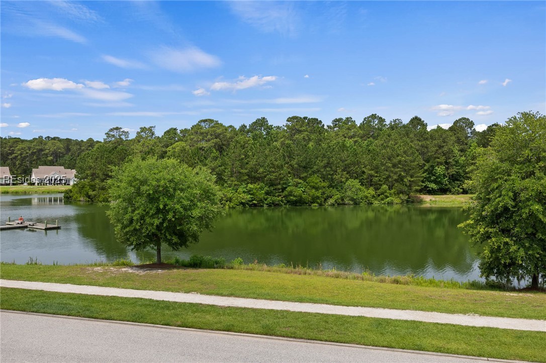 10 Skipperling Lane, Bluffton, Texas image 47