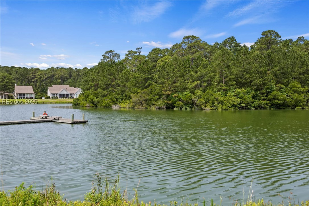 10 Skipperling Lane, Bluffton, Texas image 49