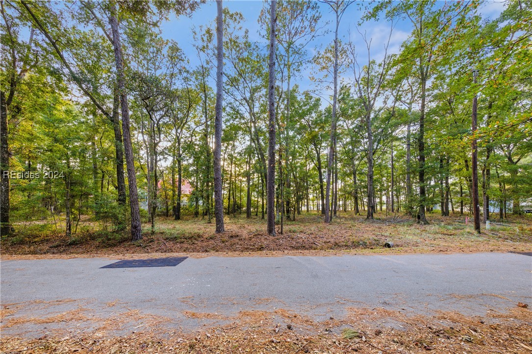 68 W River Drive, Beaufort, South Carolina image 13