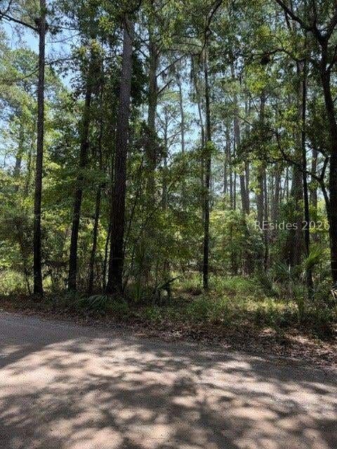 Vacant Land For Sale - 392 School Road<br/> Daufuskie Island, SC 29915