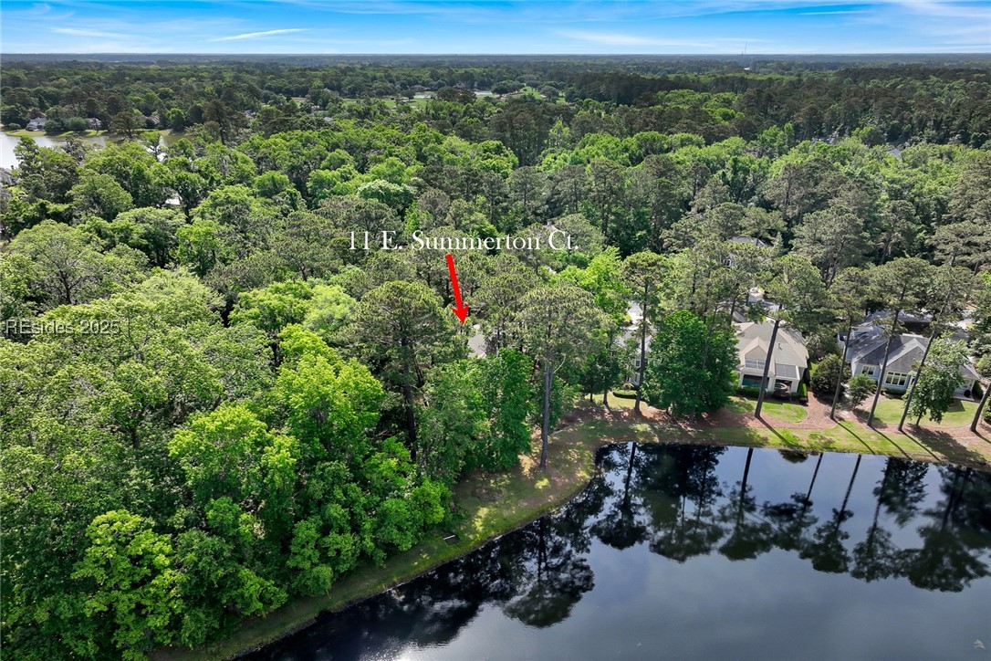 11 E Summerton Court, Bluffton, Texas image 50