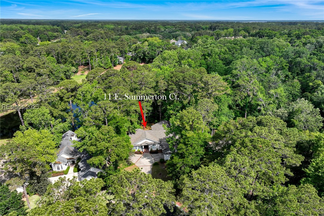 11 E Summerton Court, Bluffton, Texas image 49