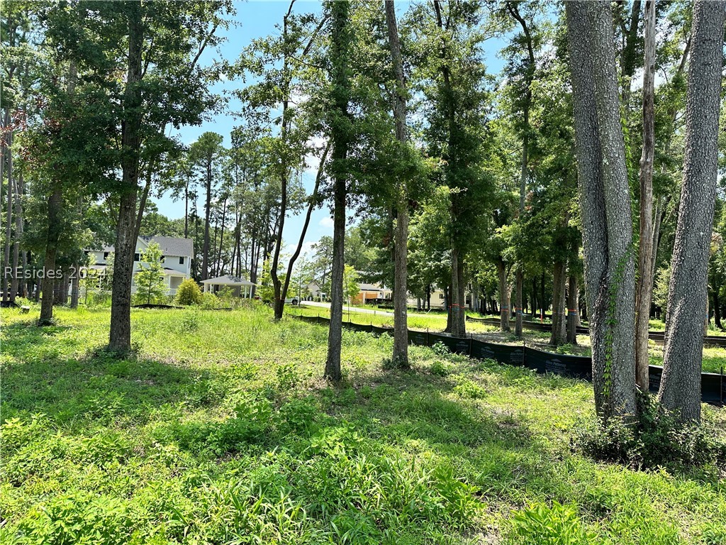 124 Whitehall Drive, Beaufort, South Carolina image 3