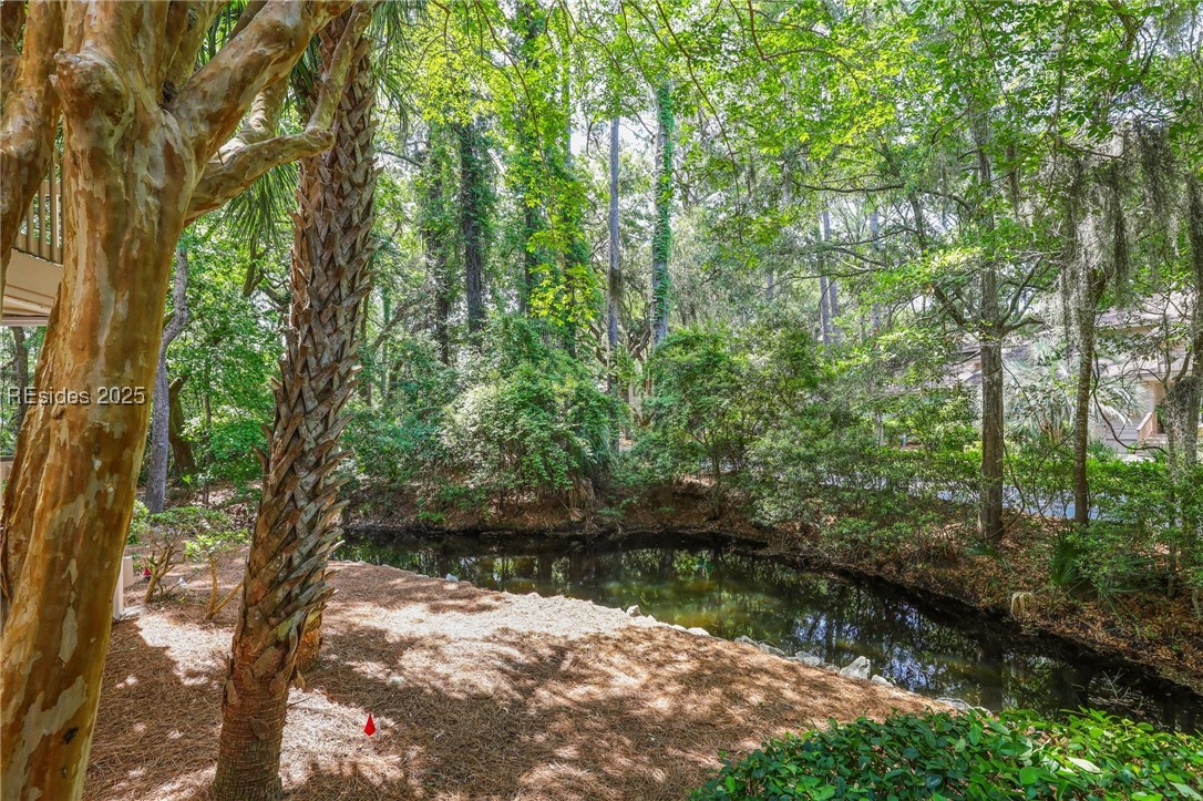 79 Lighthouse Road #2392, Hilton Head Island, Texas image 2